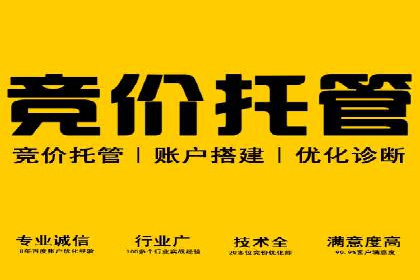 案例分析：SEM推广助力行业竞争突围